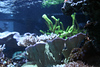 Mike LaPorte (PerfectPix) > Clamdigr >  CLAM0643