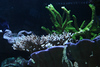 Mike LaPorte (PerfectPix) > Clamdigr >  CLAM0644