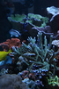 Mike LaPorte (PerfectPix) > Clamdigr >  CLAM0647
