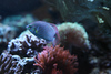 Mike LaPorte (PerfectPix) > Clamdigr >  CLAM0692