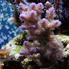Mike LaPorte (PerfectPix) > DOF Preview photo
